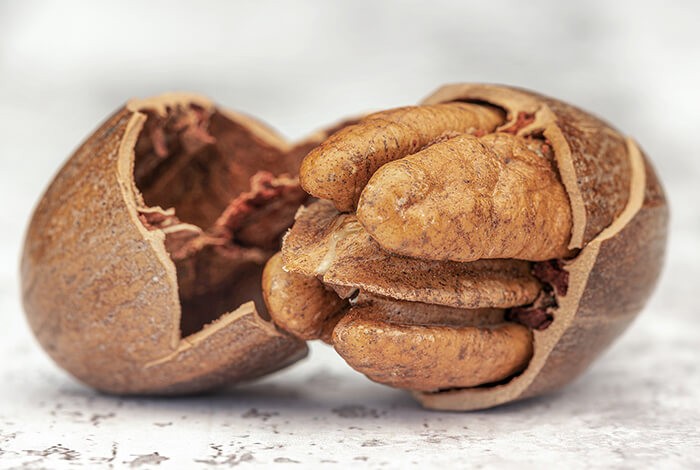 A close-up look of a cracked pecan.