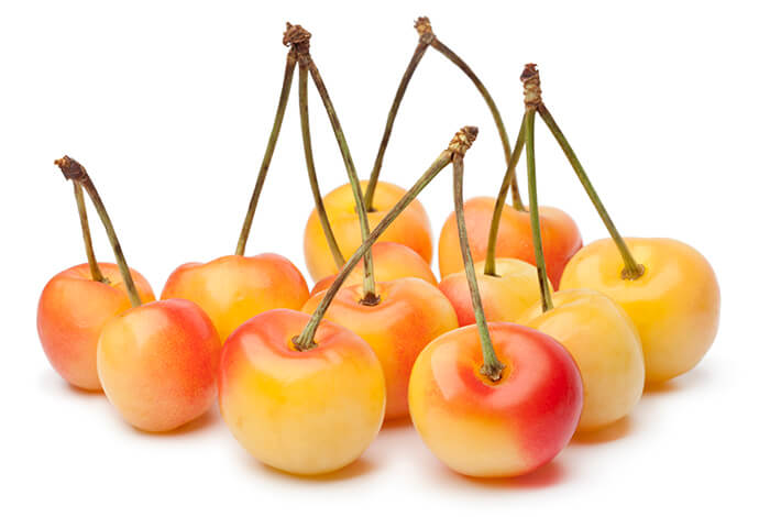 A handful of rainier cherries.