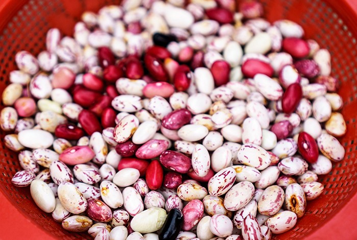 Different varieties of raw beans.