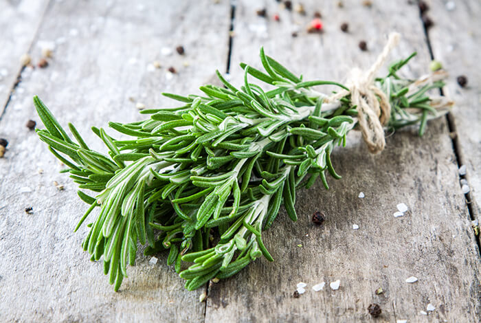 A bunch of fresh rosemary sprigs tied together.