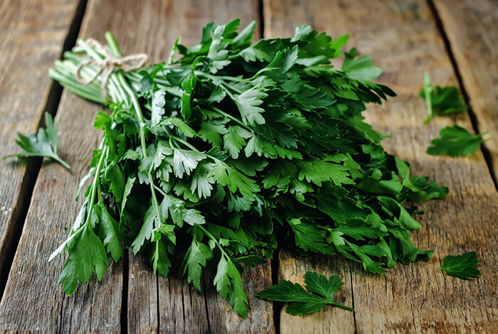 A bunch of parsley.