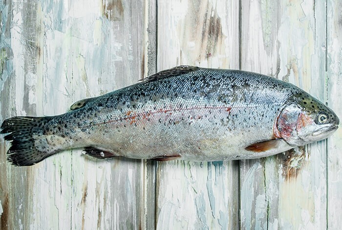 A raw salmon on a gray, wooden surface.