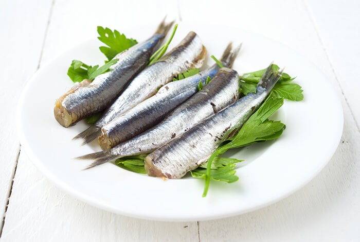 Plain sardines with herbs in a white plate. 
