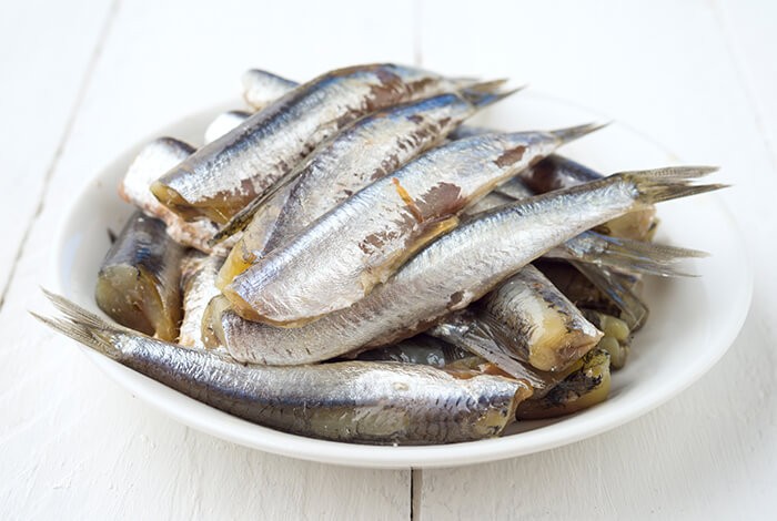 Plain sardines with herbs on a white plate. 