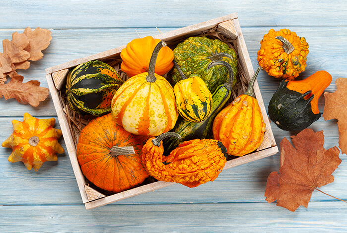 Small variety of squash stacked in a wooden box.