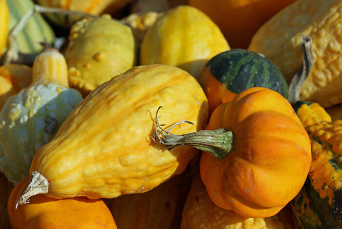 A variety of squash is displayed.