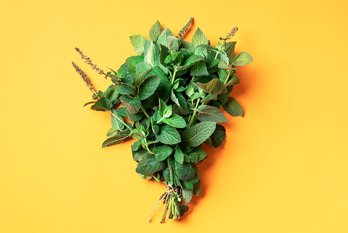 Fresh peppermint placed on a yellow surface.