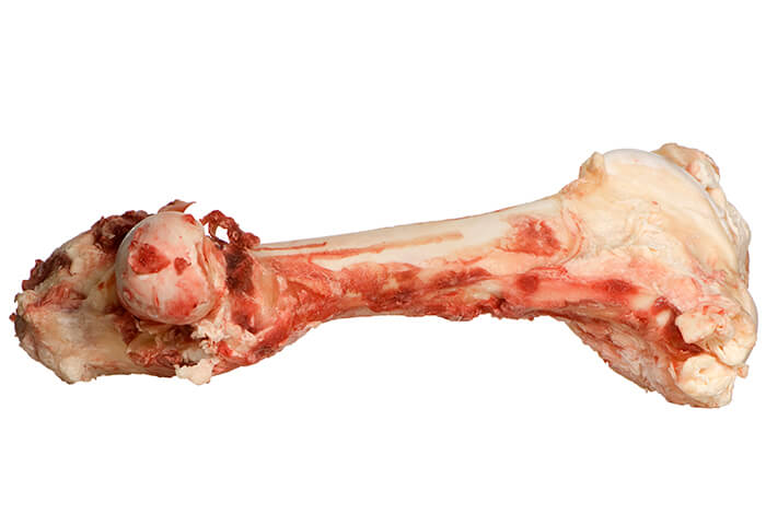 A closeup look at a deer bone for dogs.