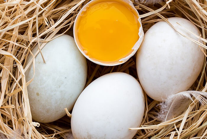 A cracked duck egg surrounded by three uncracked duck eggs.