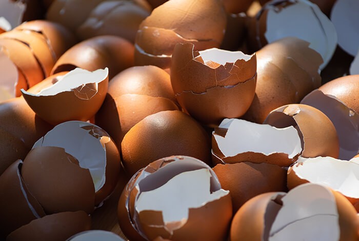 Organic eggshells 