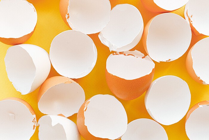 A close-up picture of empty eggshells.
