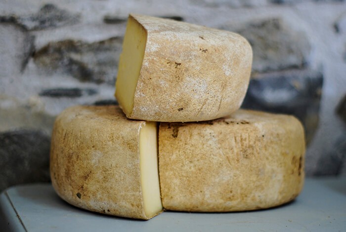 Blocks of cheese on top of a table.