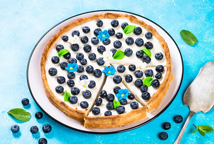 A dog-friendly cake topped with blueberries and cream.