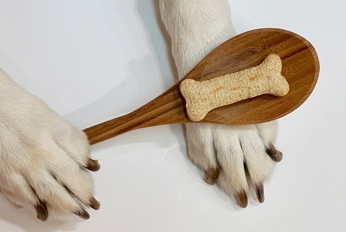 A cinnamon dog stick on a wooden spoon and a dog's paws.
