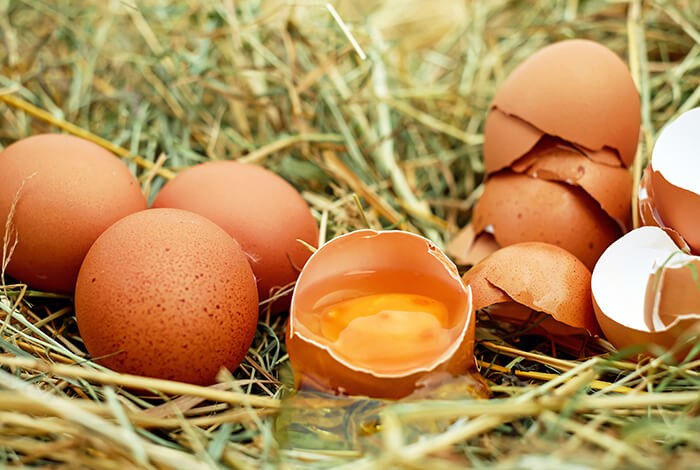 Organic eggshells on a grassy surface.