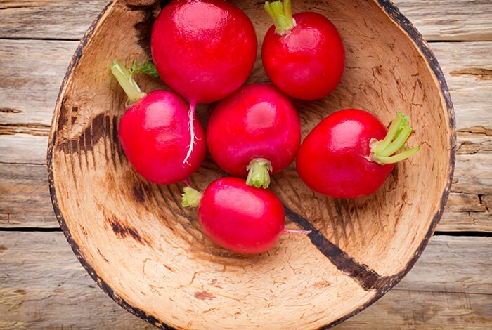 can dogs eat radishes - 12