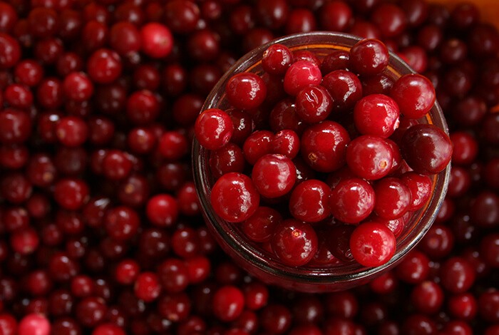 are cranberries good for dogs