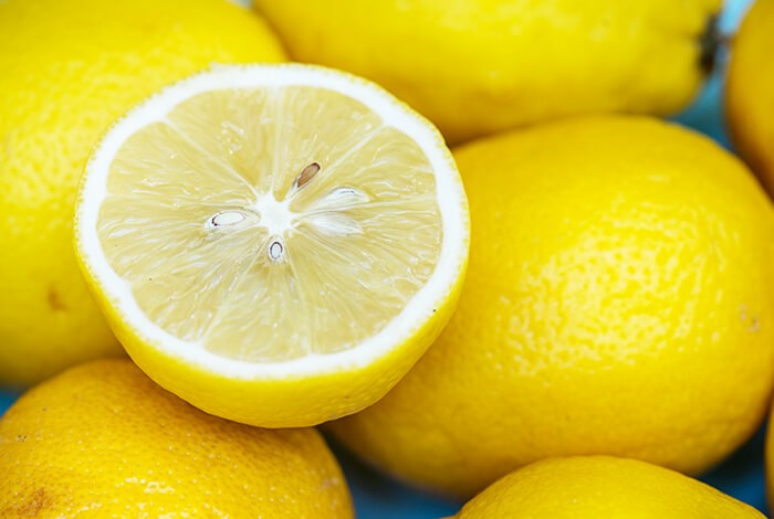 are lemon trees safe for dogs