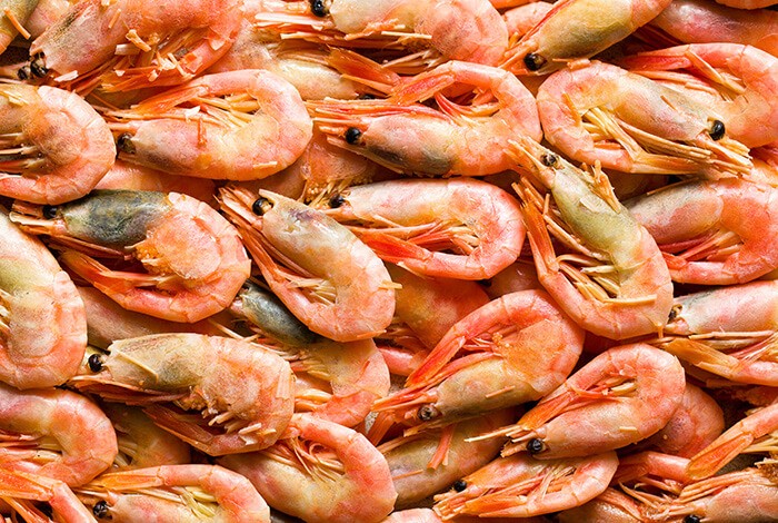 A closeup look at cooked, unpeeled shrimps.