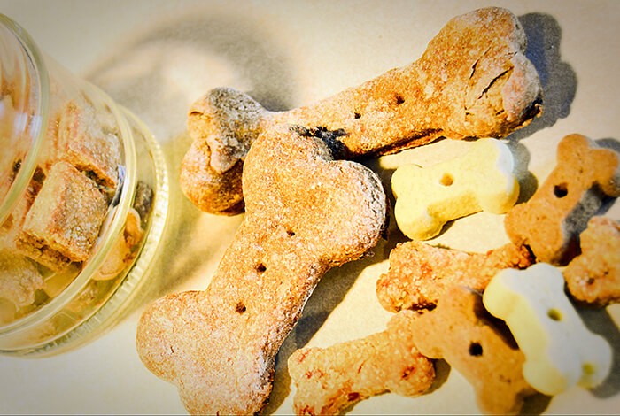 Contents of a jar of dog treats spread across a surface.