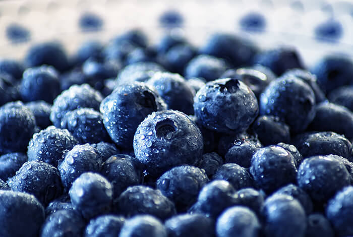 A closeup look at fresh blueberries.