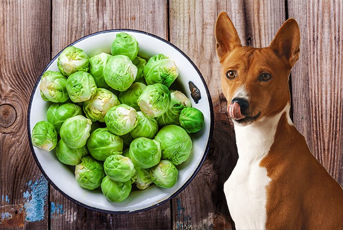 are brussel sprouts okay for dogs to eat