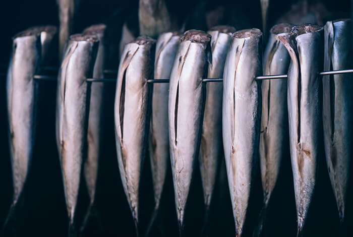 Headless cod fish being skewered.