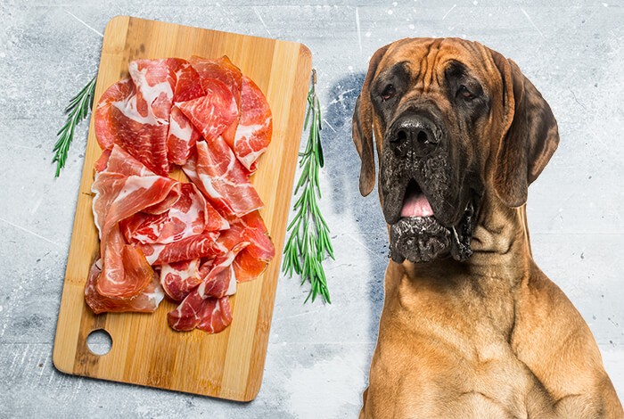 Can Dogs Eat Ham? Is It a Good Protein Source?