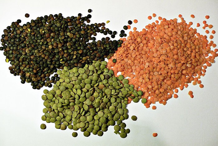 why are peas and lentils bad for dogs