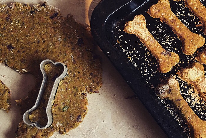 Oatmeal dog treats fresh from the oven.