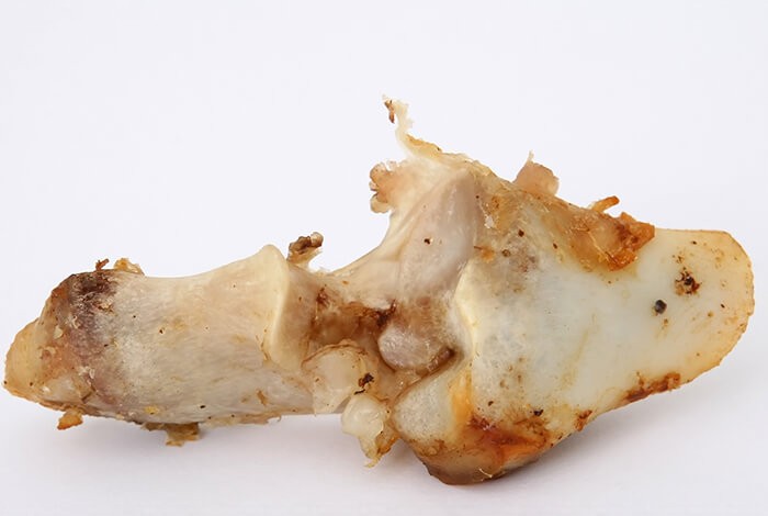 A piece of pork bone.