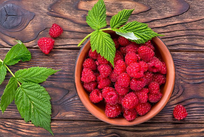 are wild raspberries safe for dogs