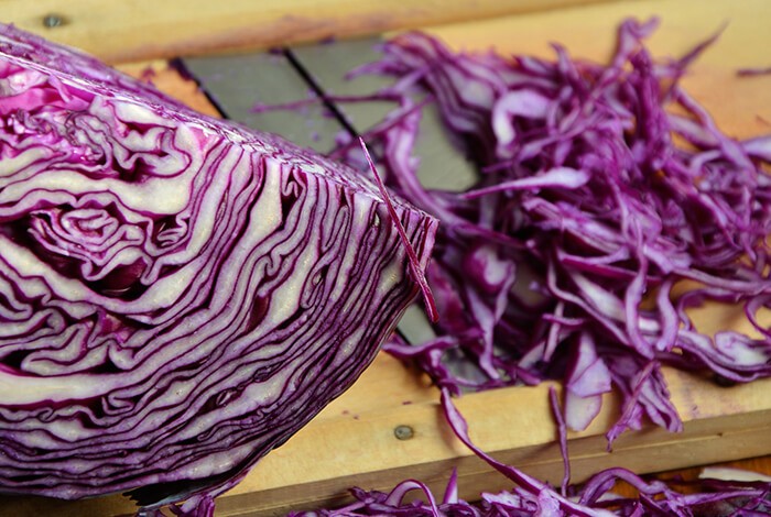 can dogs eat red cabbage