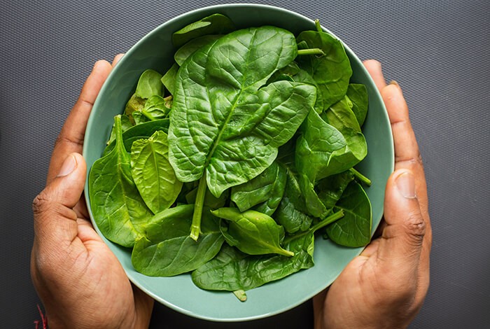 can dogs eat canned spinach