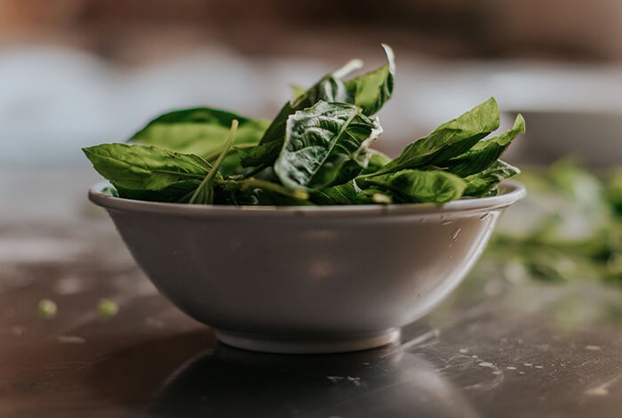 can dogs eat canned spinach