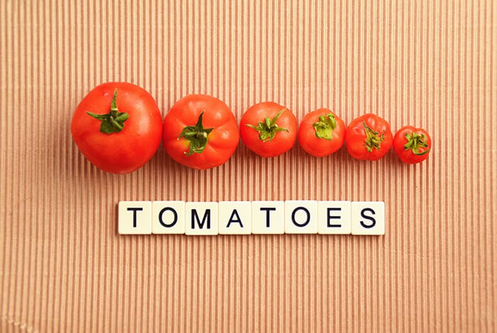 The word tomatoes in tiles and tomatoes in different sizes.