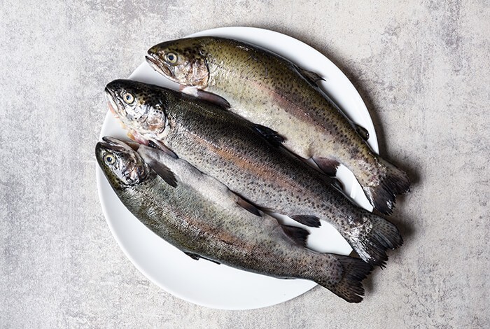 Raw trout on a plate.