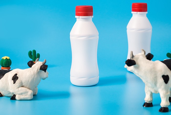 Two milk bottles and two cow figurines.