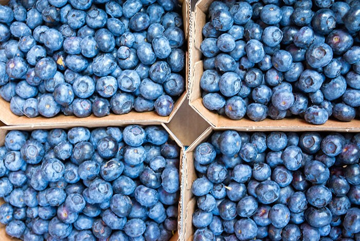 Four boxes filled with blueberries.