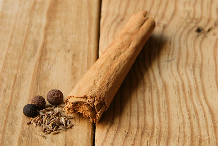 A cinnamon stick and other herbs.