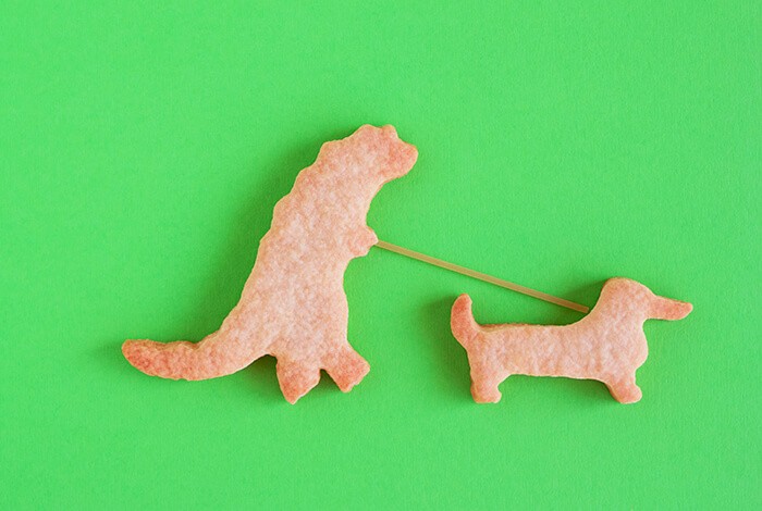 Newly-baked dog-shaped cookies.