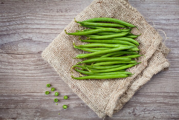 green beans diet for dogs