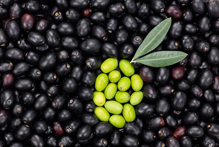 are russian olives poisonous to dogs