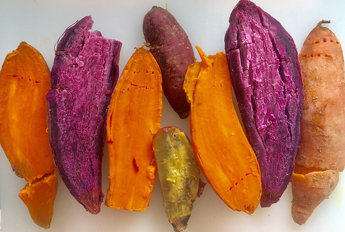 Boiled sweet potatoes lined up.