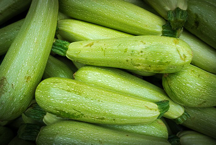 can puppies eat zucchini