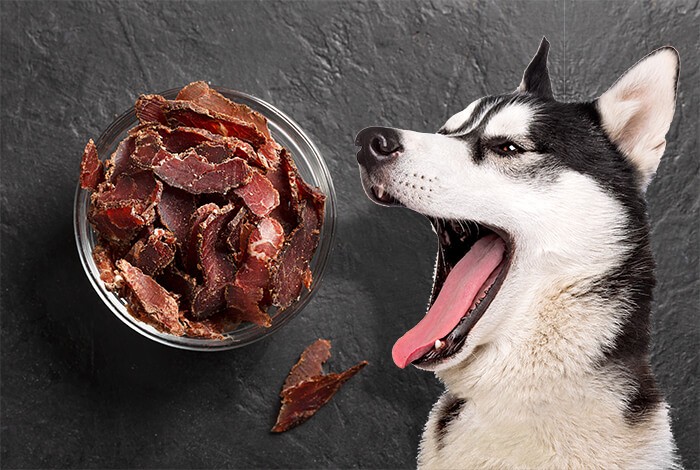 can dogs have beef jerky