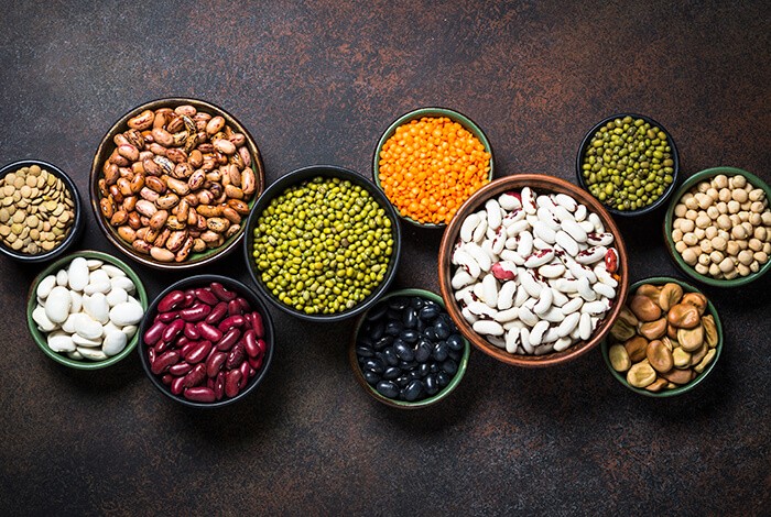 Different types of beans that may be bad for dogs.