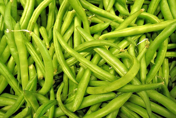 Raw green beans for dogs.