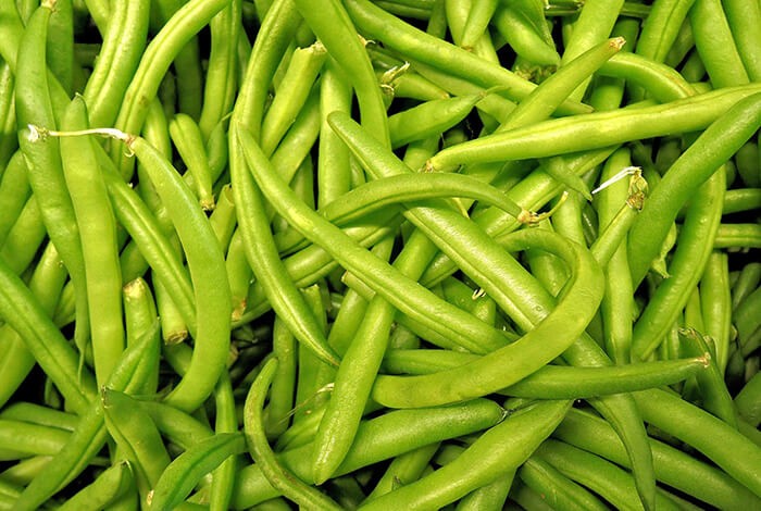 are frozen green beans safe for dogs