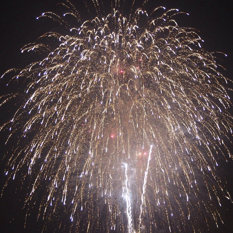 ひろしさんの投稿 横田基地 ことりっぷ
